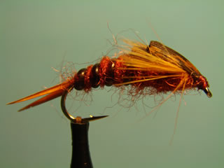 Brown Stone Fly (8)
